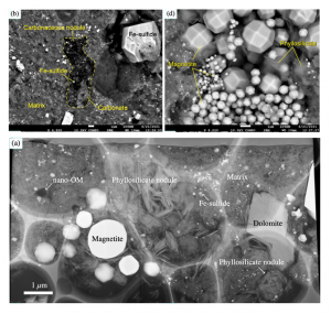 Fig. 1 小惑星リュウグウ試料の内部組織と鉱物相