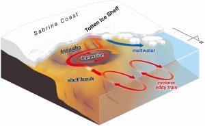 図3　サブリナ海岸・トッテン氷河沖における暖水流入経路の模式図